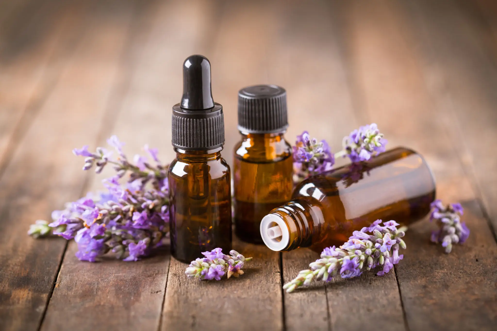 Pure lavender essential oil from The Cinnamon Estate